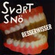 Besserwisser